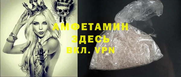 молекула духа Арсеньев