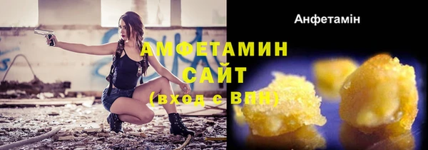 молекула духа Арсеньев