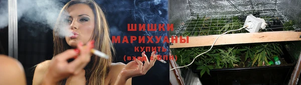 прущие грибы Армянск
