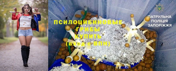 молекула духа Арсеньев