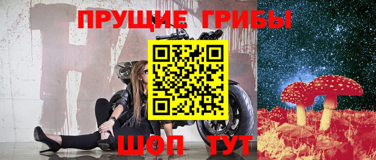 Галлюциногенные грибы Psilocybe  Галлюциногенные грибы мухоморы  Норильск  Вход с VPN 